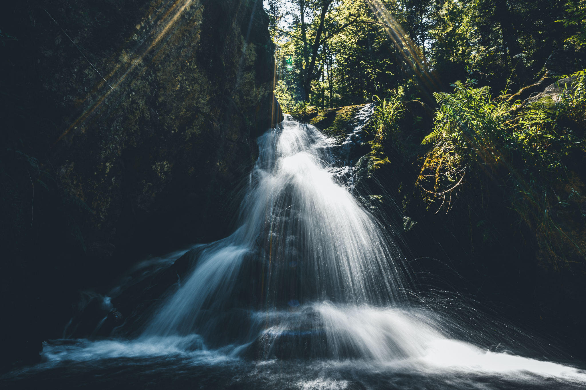 Shootings Reportage Nature  région  OneshotCRPhotography